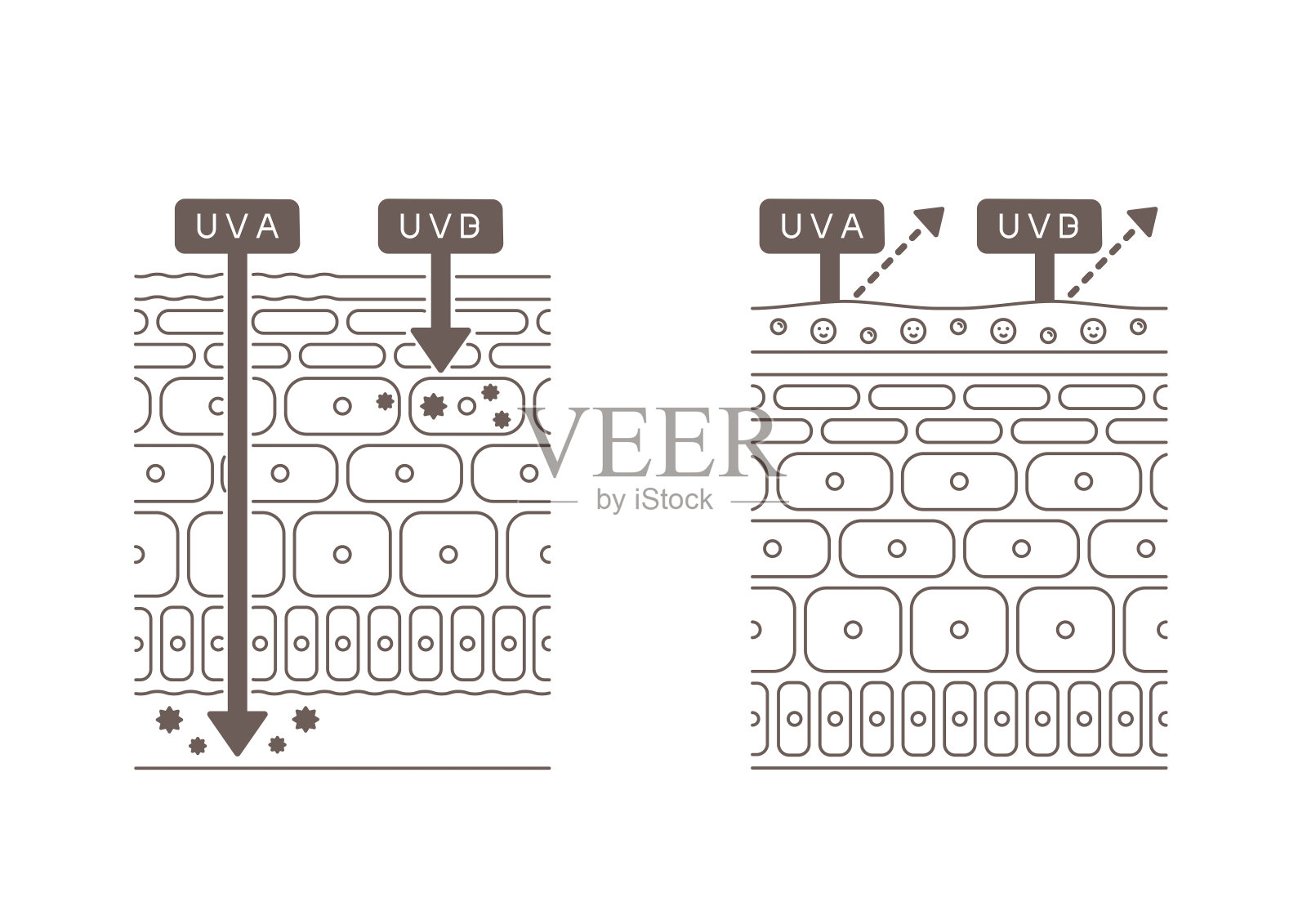 紫外线对皮肤组织的影响插画图片素材