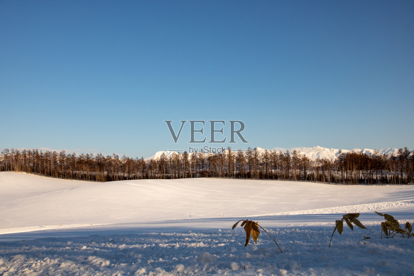 雪山蓝天照片摄影图片