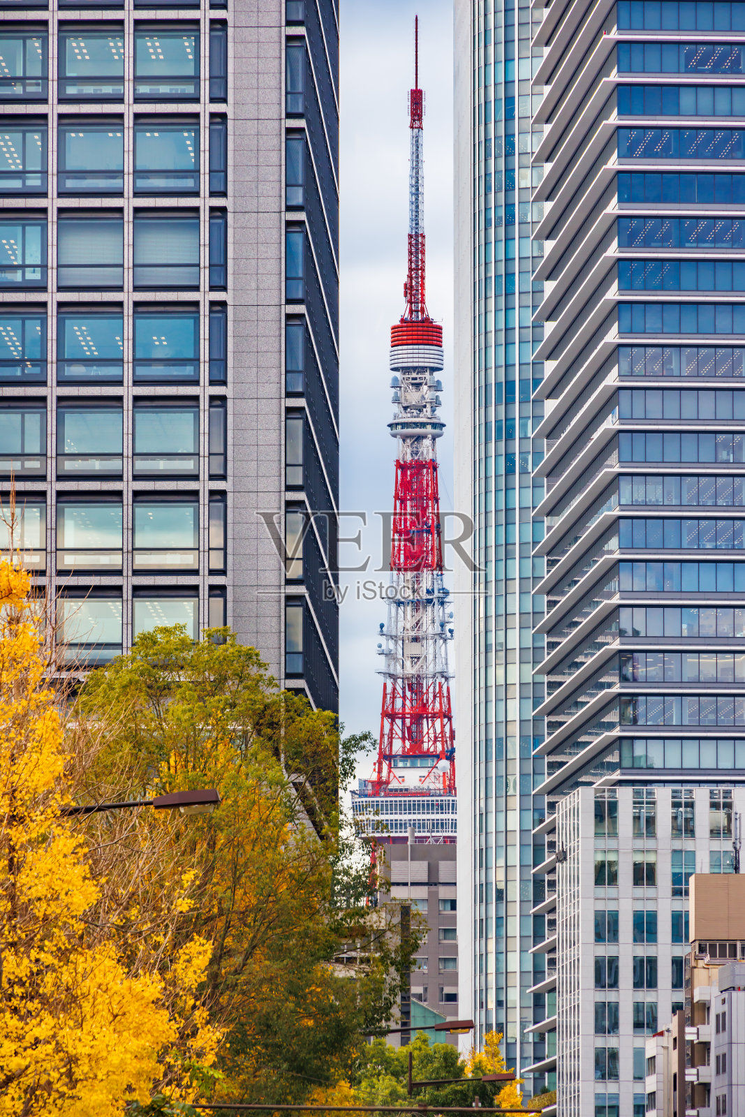 东京的建筑和色彩鲜艳的银杏树照片摄影图片