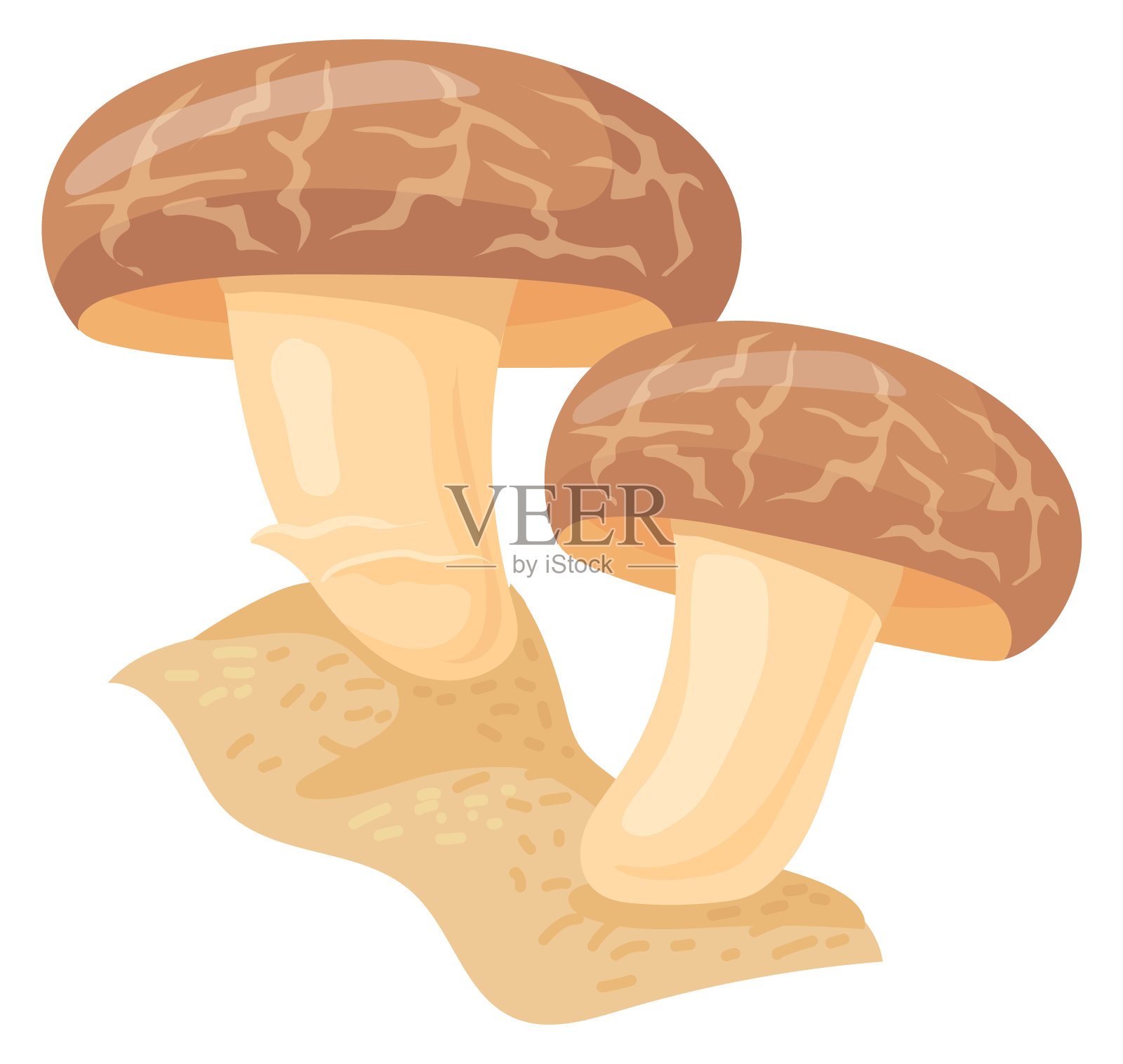 褐帽菇。食用香菇卡通菌插画图片素材