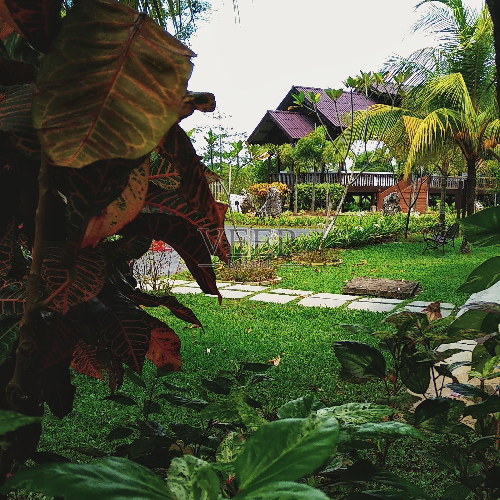 公园照片摄影图片