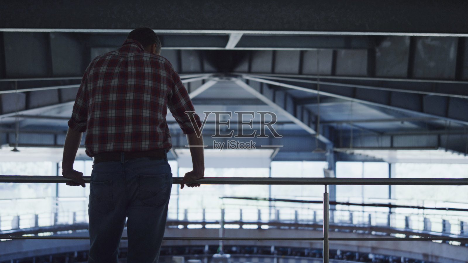 农场专家检查谷仓与现代奶牛挤奶自动在机器人牛棚。照片摄影图片