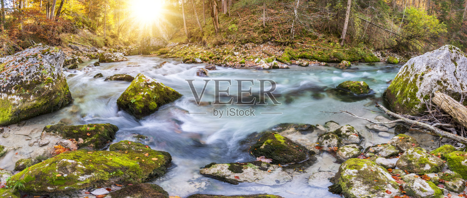 野生河流,清澈的水在美丽的峡谷照片摄影图片