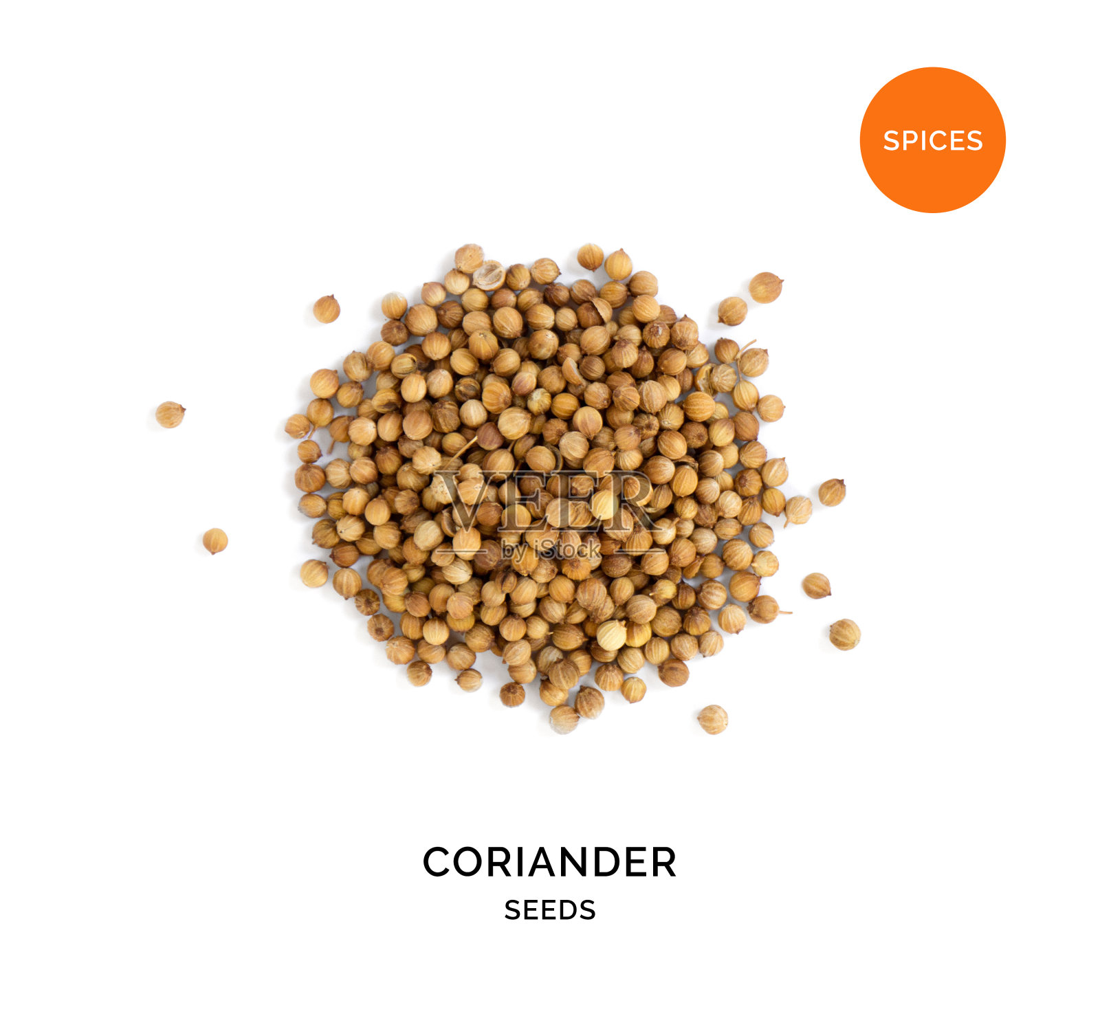 白色背景上香菜的创意布局。平的。食品的概念。照片摄影图片