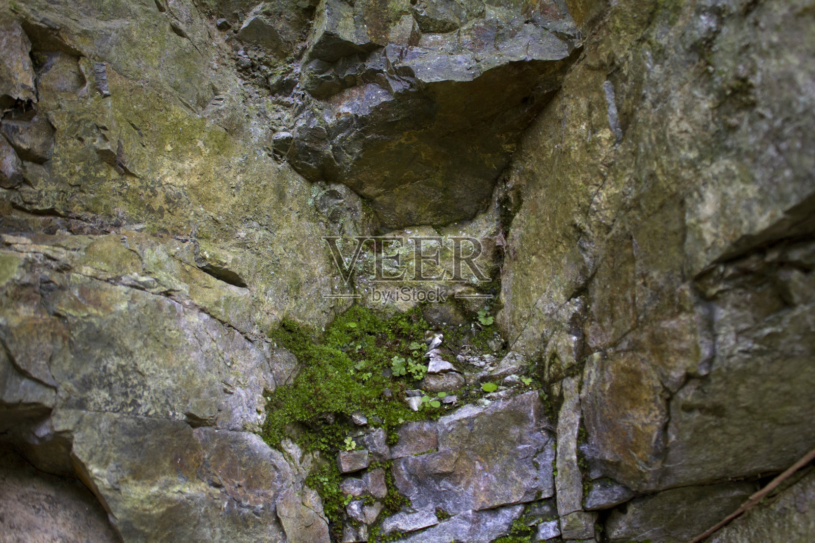 大裂岩石间的苔藓照片摄影图片