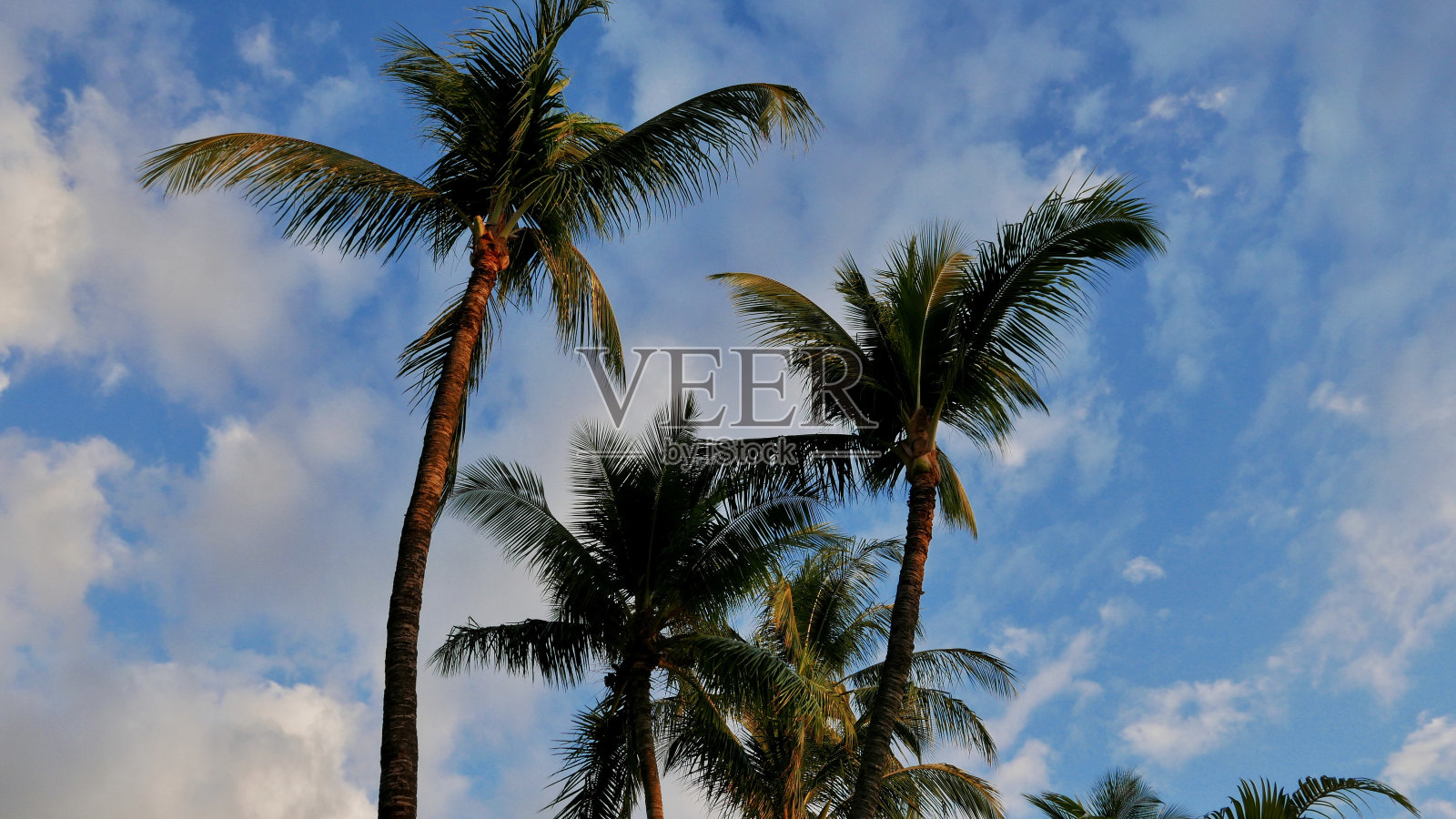 岛上的风景照片摄影图片