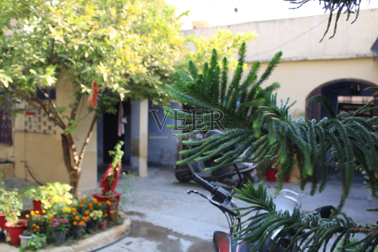 印度北阿坎德邦玛纳:喜马拉雅山玛纳村传统的石板屋顶房屋,靠近巴德里纳特的神圣朝圣中心。玛那是玛那隘口和印藏交界之前的最后一个村庄照片摄影图片