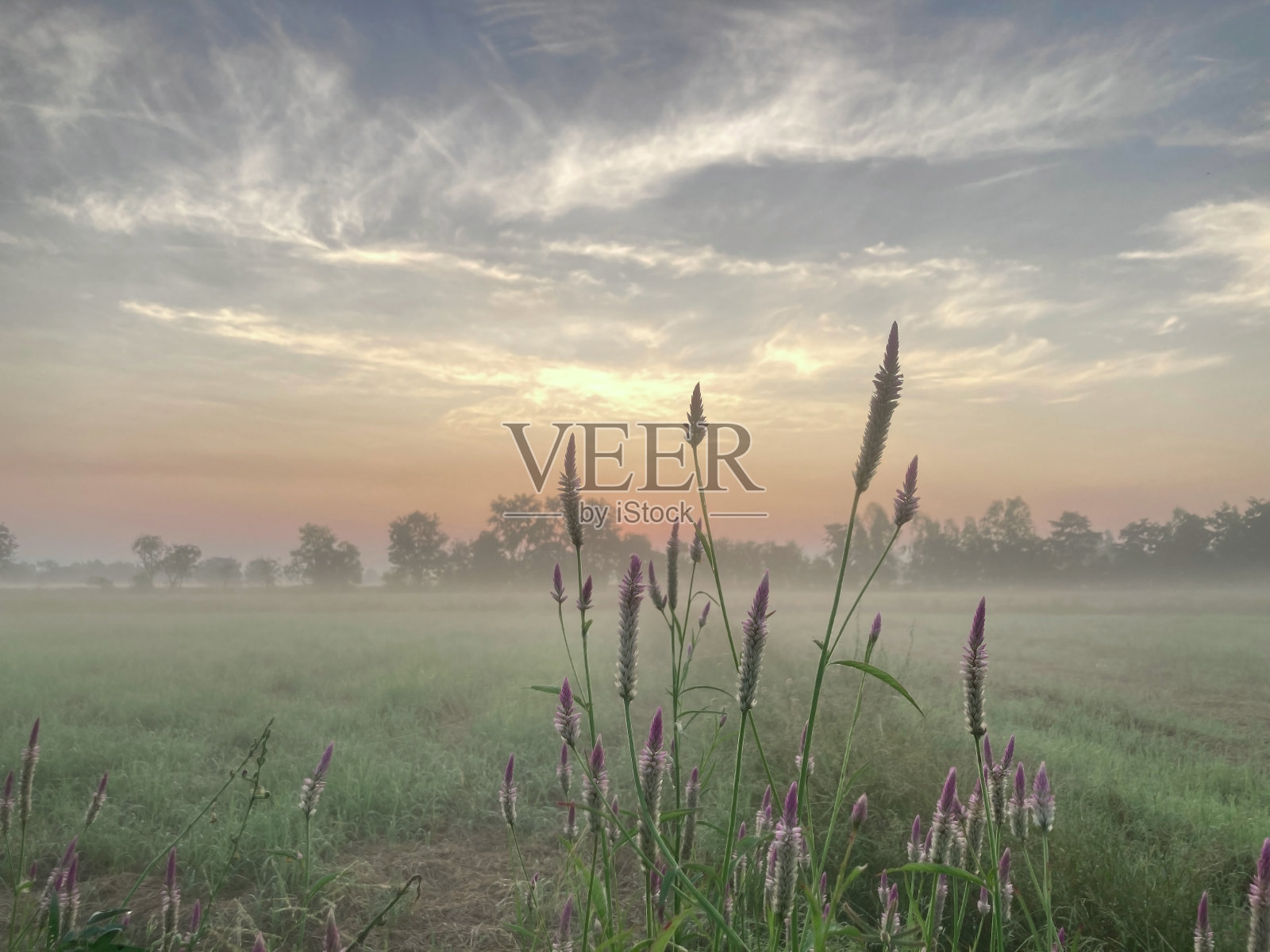 初升的太阳,轻雾,在冬天照片摄影图片