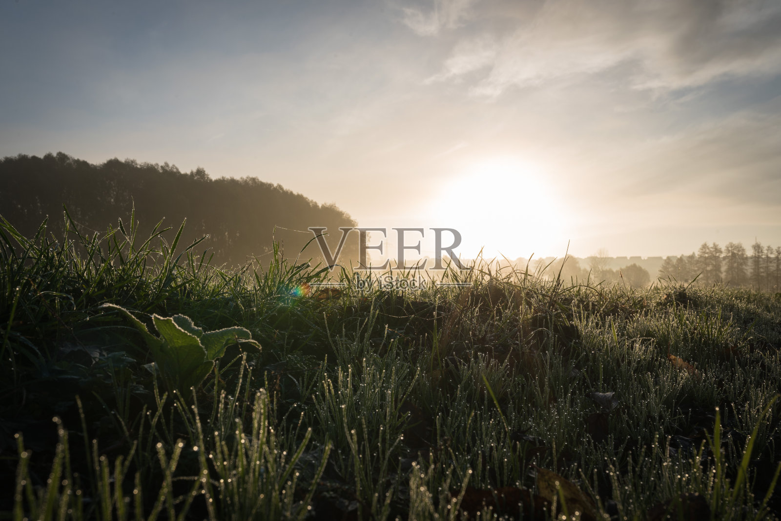 日出在大雾笼罩的田野上照片摄影图片