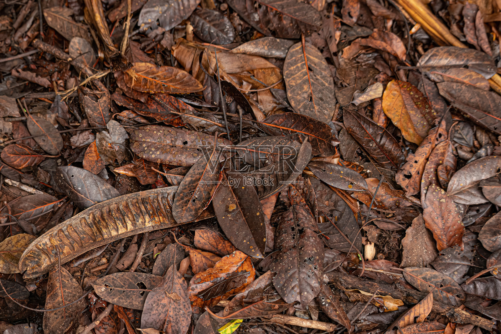 自然地板脏,有垃圾照片摄影图片