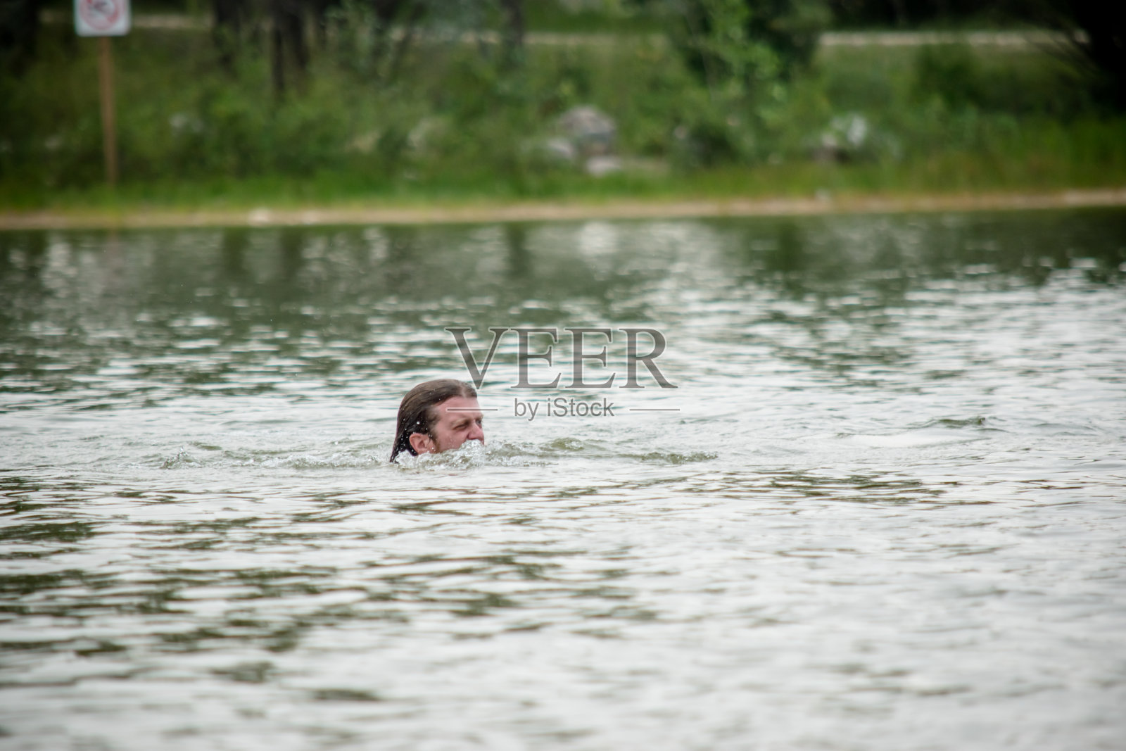 在湖里游泳照片摄影图片