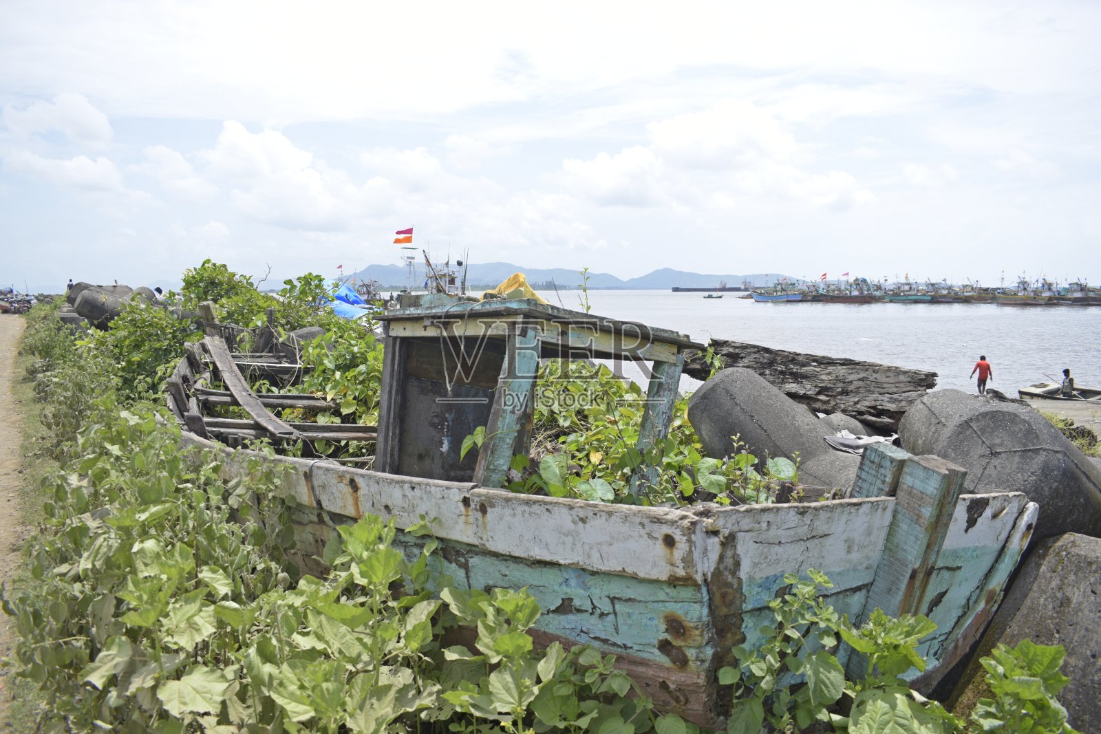 近海废弃船只照片摄影图片
