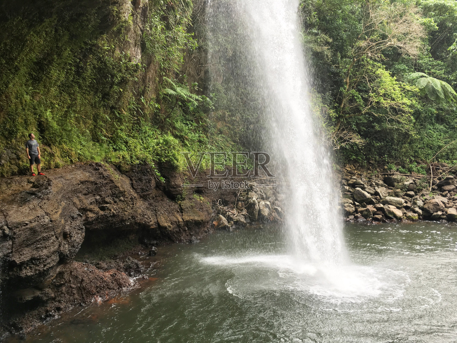 森林瀑布的低角度视图照片摄影图片