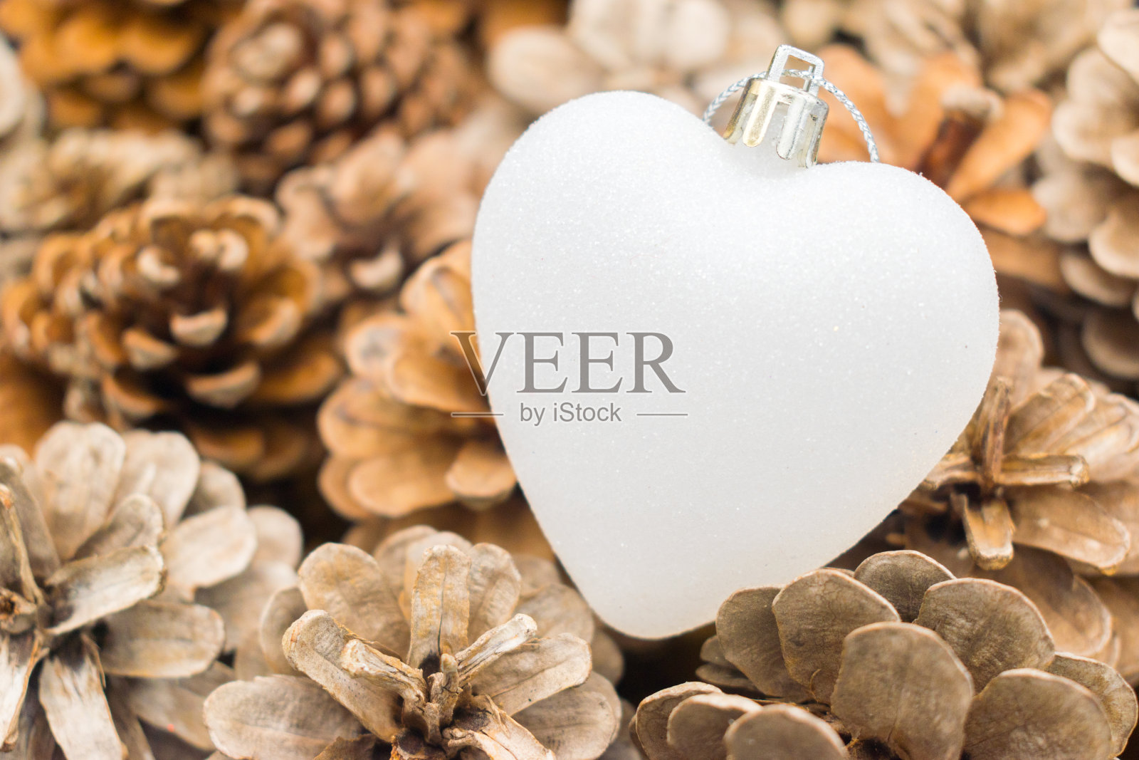 松果间白色的心照片摄影图片