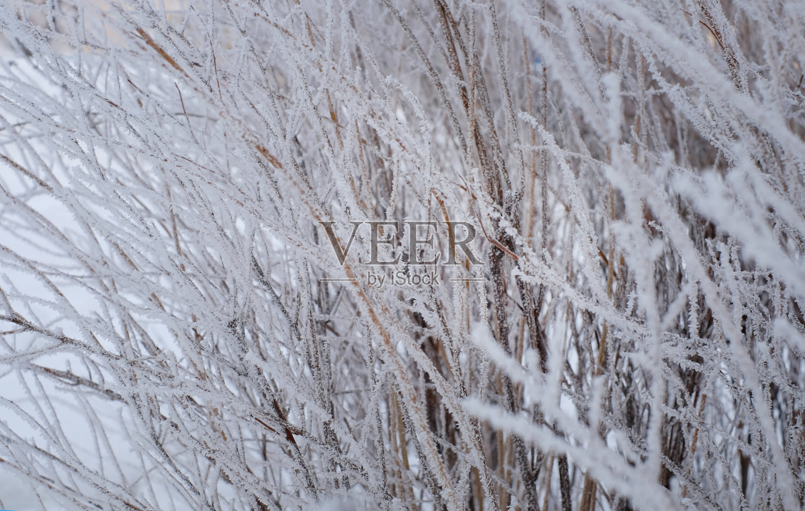 白雪皑皑的干草,抽象的自然冬季背景照片摄影图片