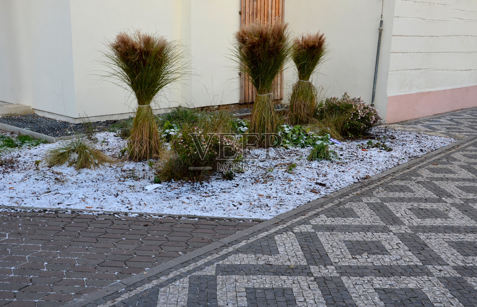 园林绿化,观赏草捆。防止破坏花园观赏草的雪和雨。用绳子绑着。屋前长廊上的马赛克铺装,黄白色,束石地毯照片摄影图片
