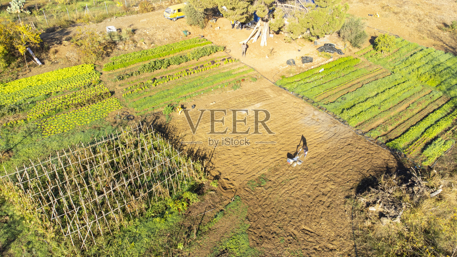 果园的鸟瞰图照片摄影图片