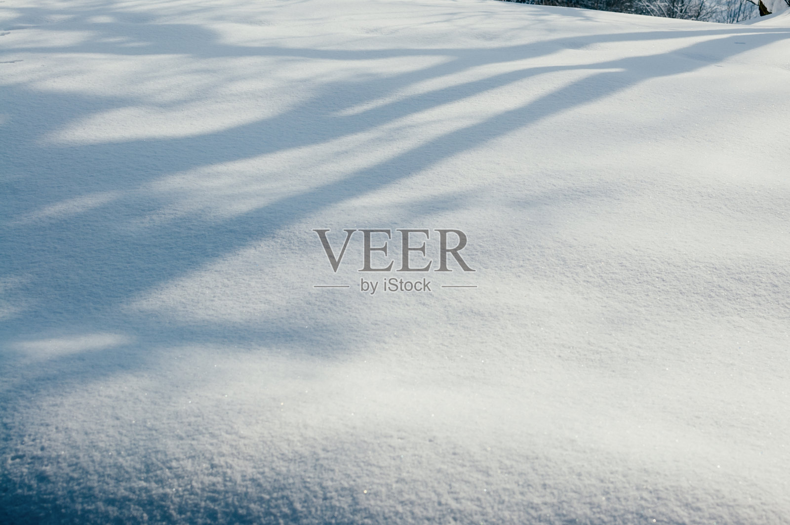 阳光灿烂的日子里雪上的影子,浅聚焦照片摄影图片