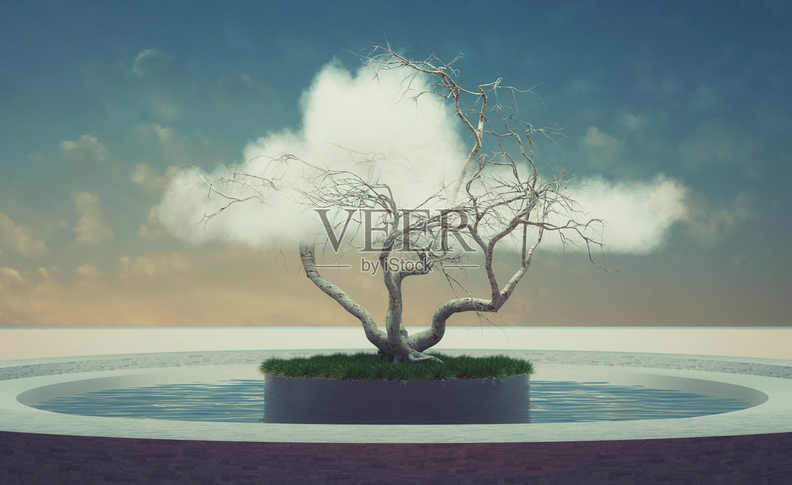 树宁静照片摄影图片