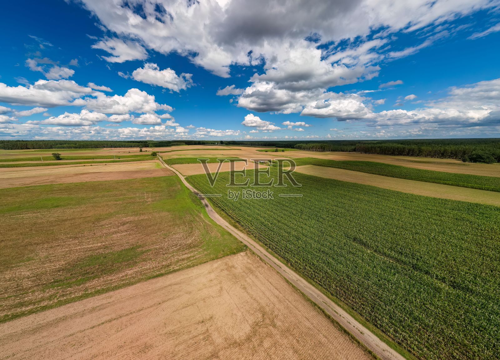 多云天的绿色稻田鸟瞰图照片摄影图片