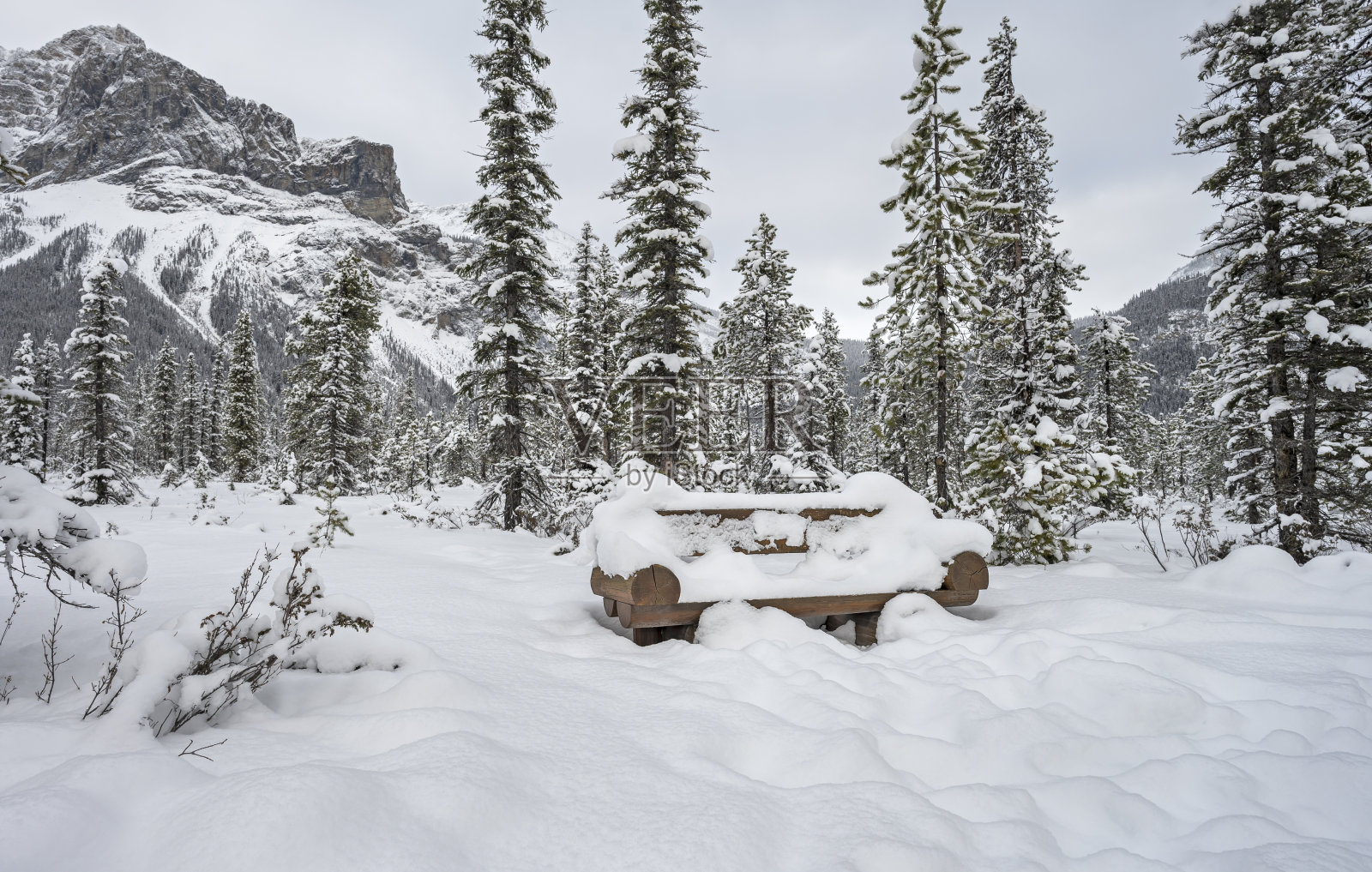 翡翠湖落基山脉的白雪覆盖的长椅照片摄影图片
