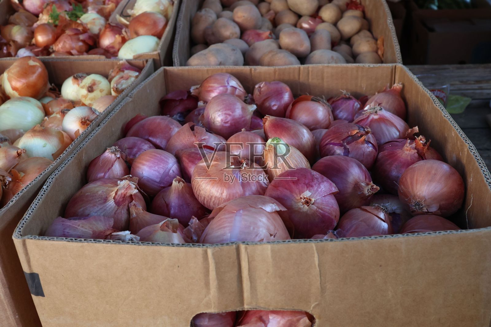 克罗地亚一个集市上出售的洋葱特写照片摄影图片