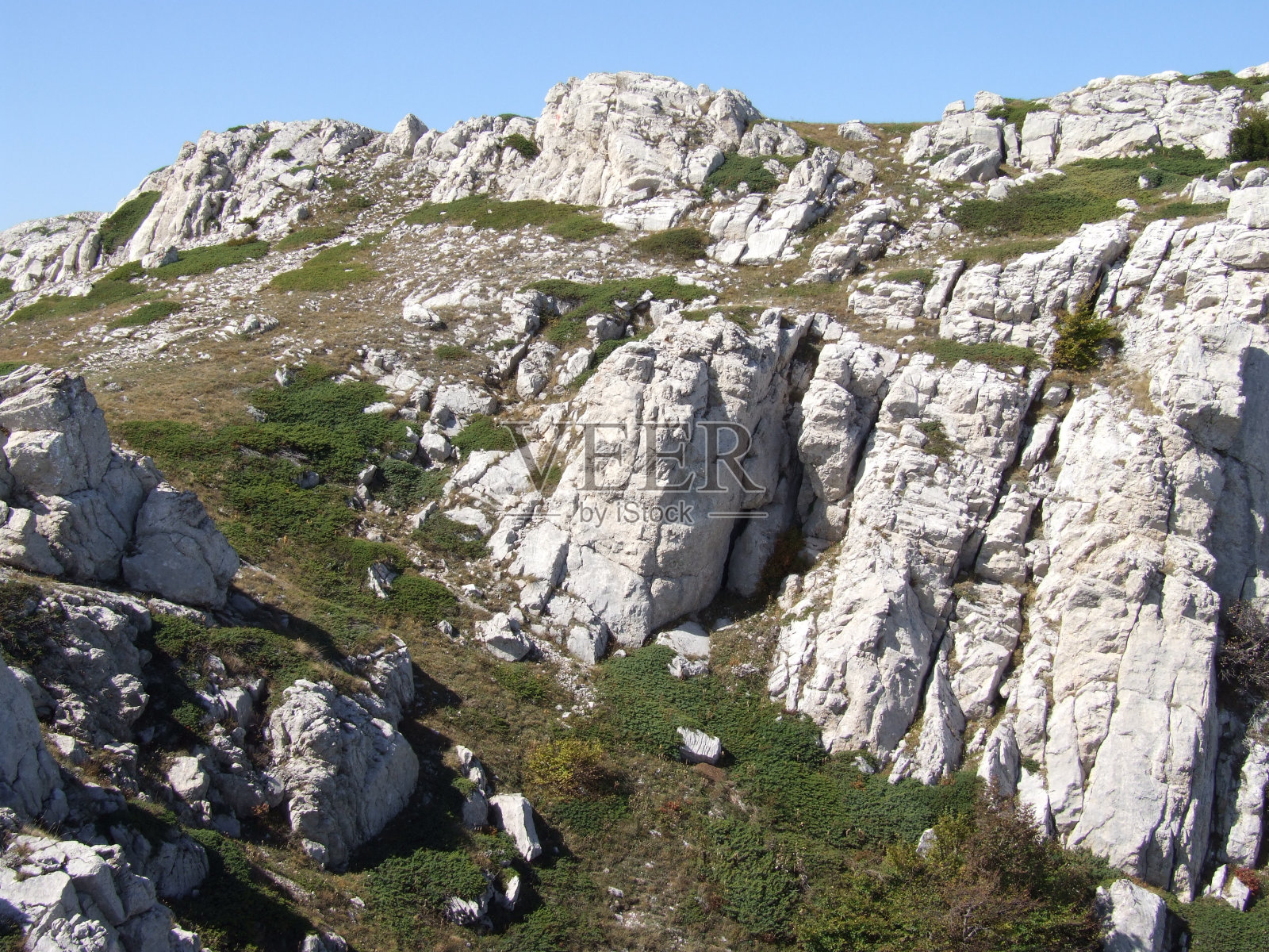 陡峭复杂的斜坡上长满了草原植物照片摄影图片