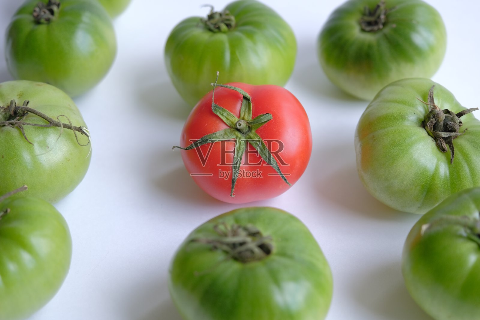 不同的概念。绿番茄中有一个红番茄照片摄影图片