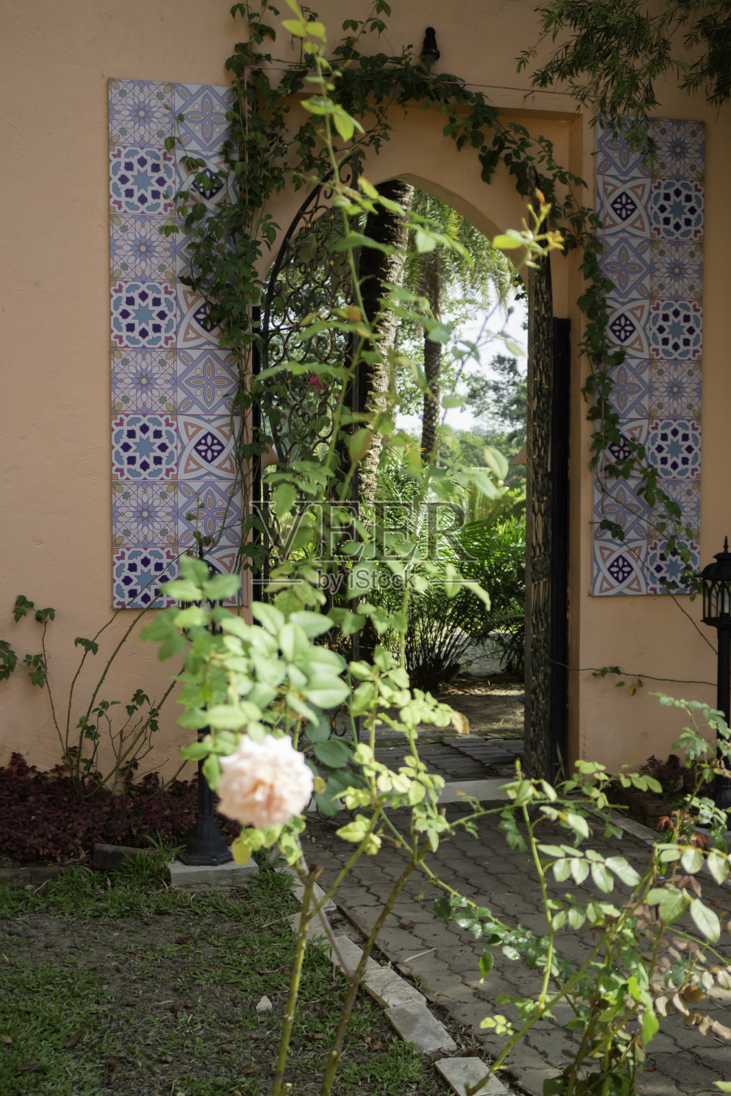 植物园绿枝盆栽照片摄影图片