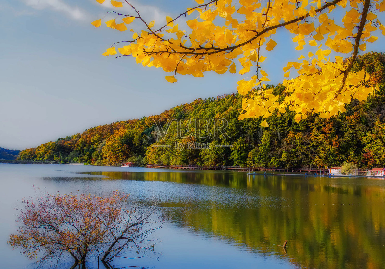 美丽的韩国秋景照片摄影图片
