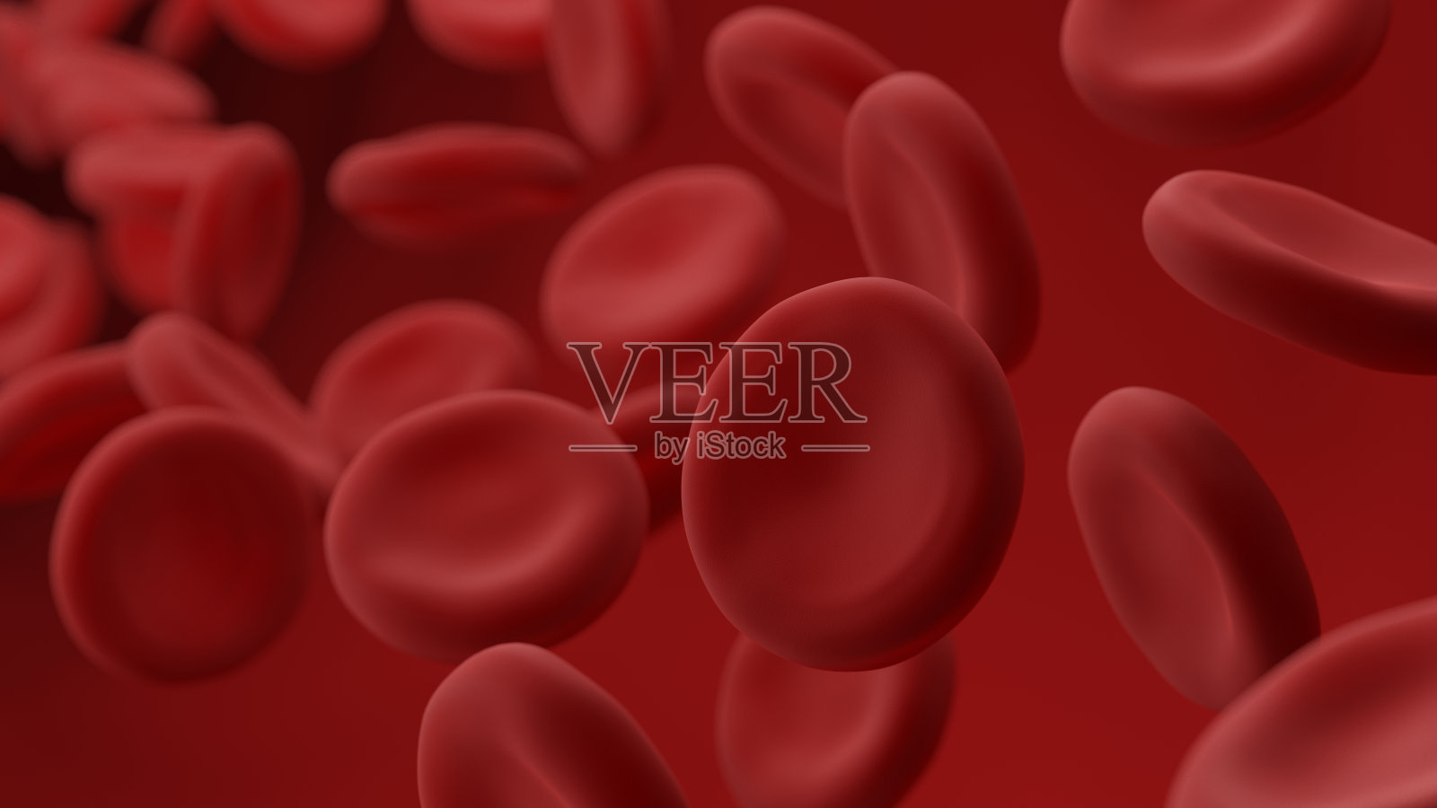 红细胞。红细胞。照片摄影图片