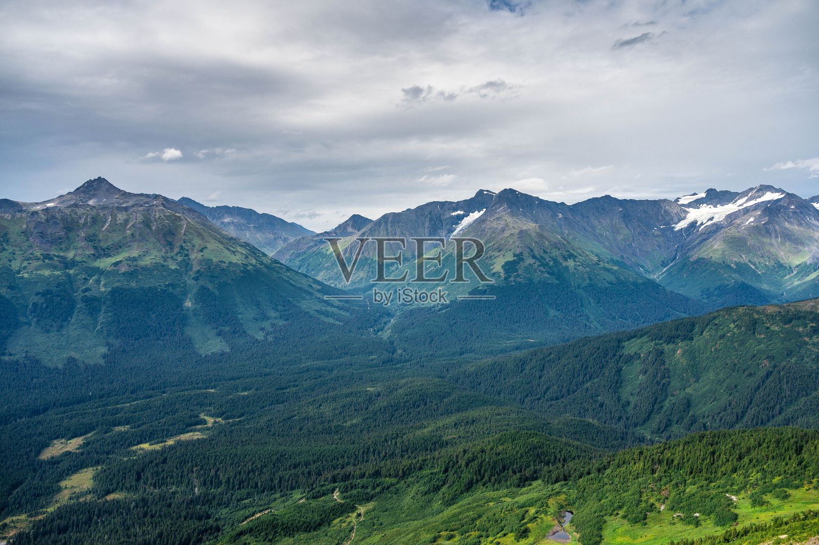 绿树成荫,绿草如茵照片摄影图片