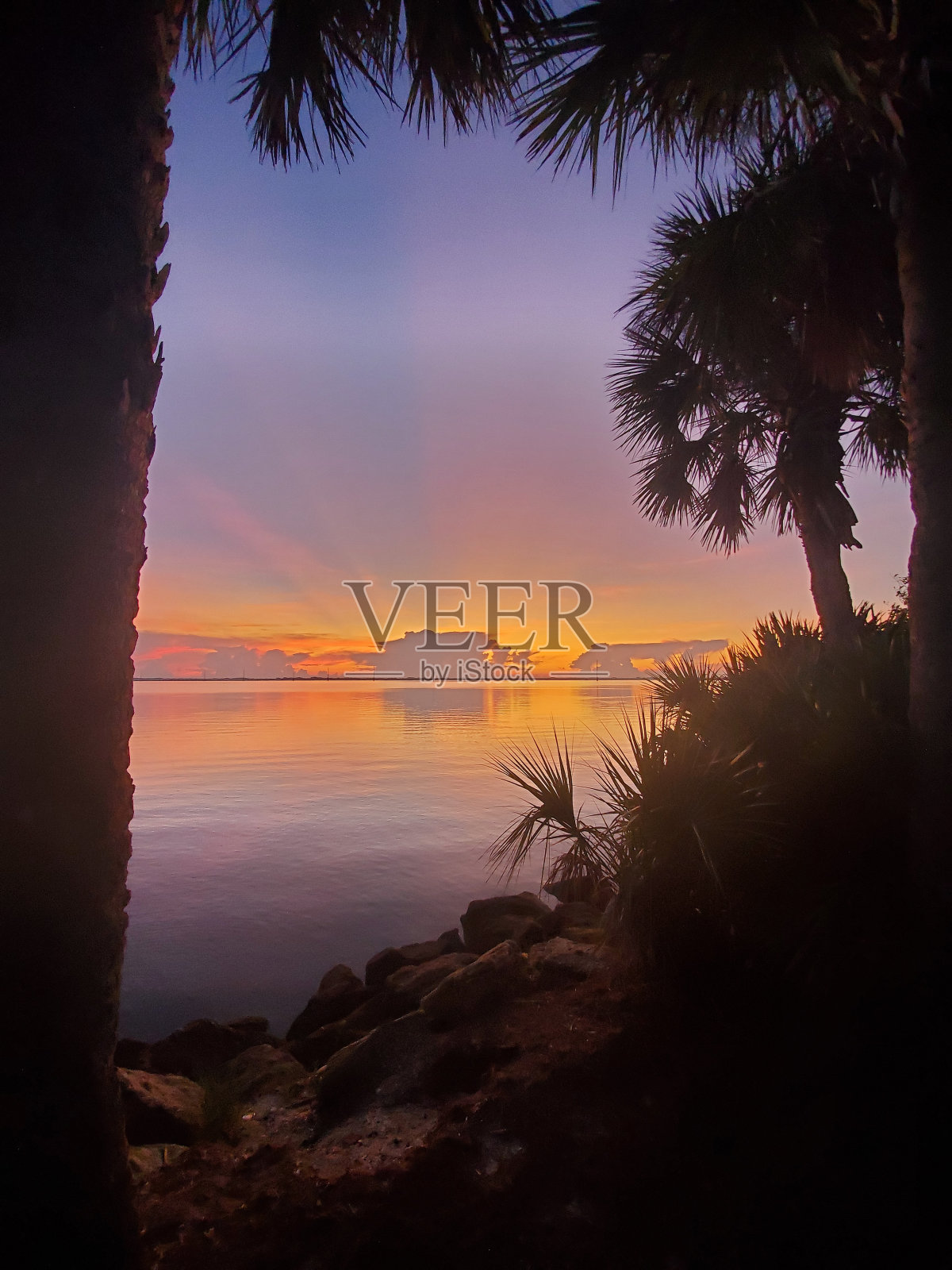 佛罗里达湖日落照片摄影图片