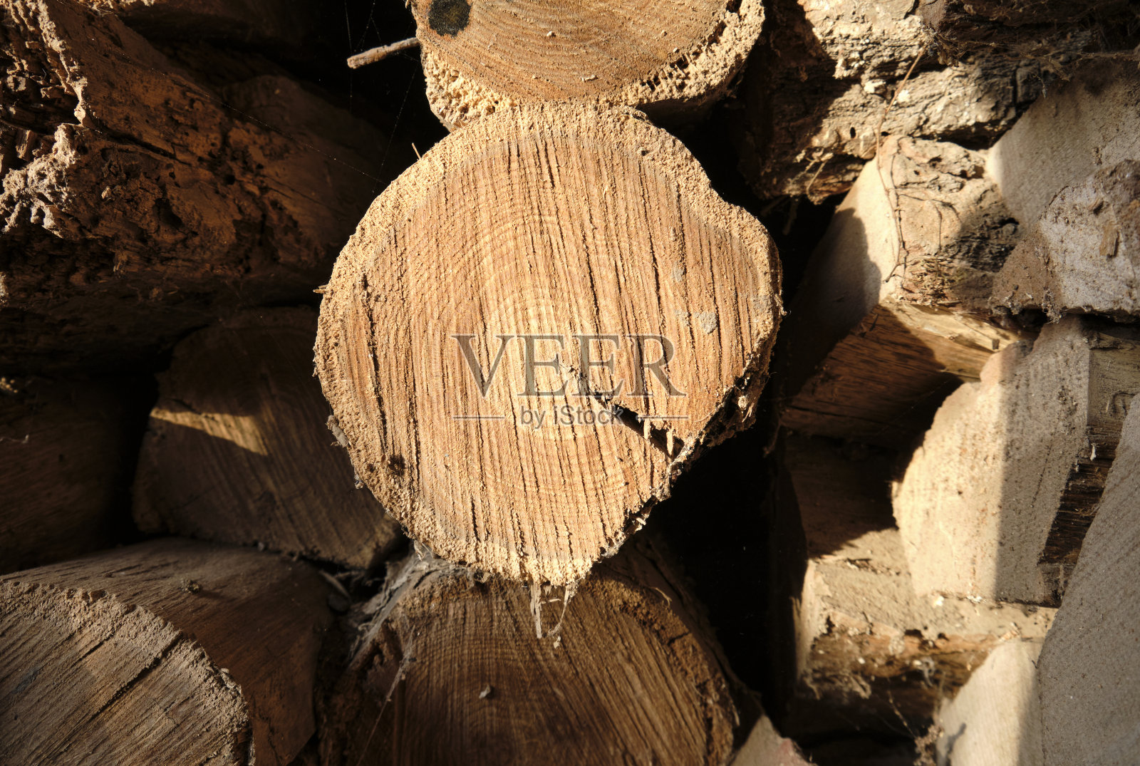 原木照片摄影图片