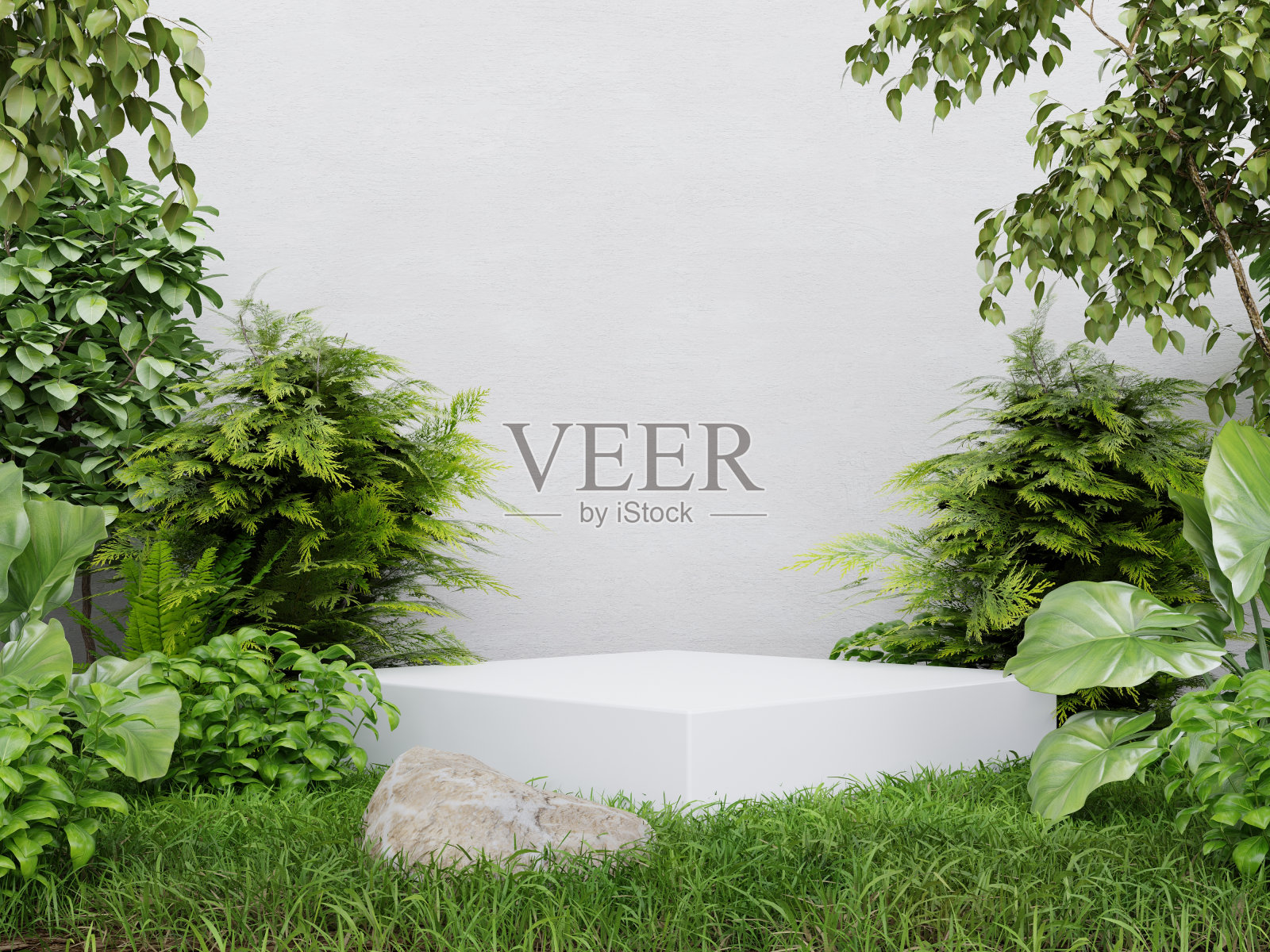 热带森林中的白色立方体基座用于产品展示和白色石膏墙。照片摄影图片