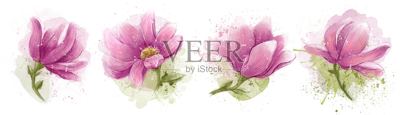 白色背景上的一组水彩花蕾。插画图片素材