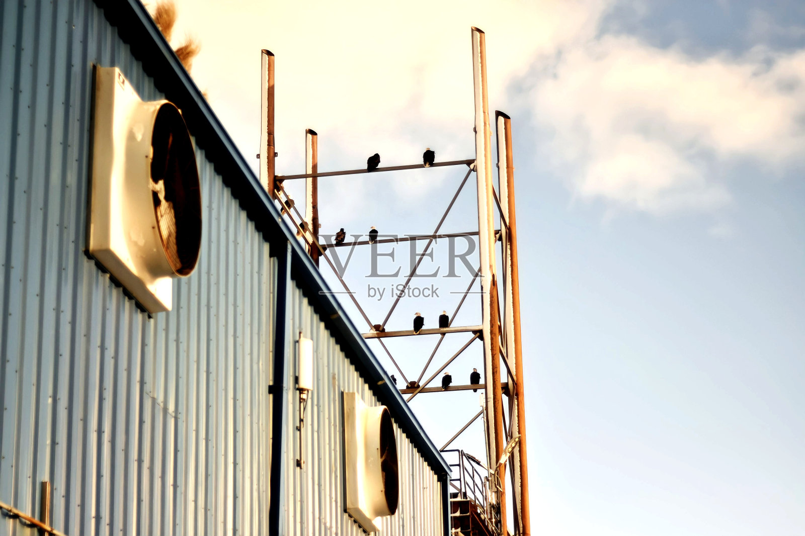 工业区情侣对话照片摄影图片