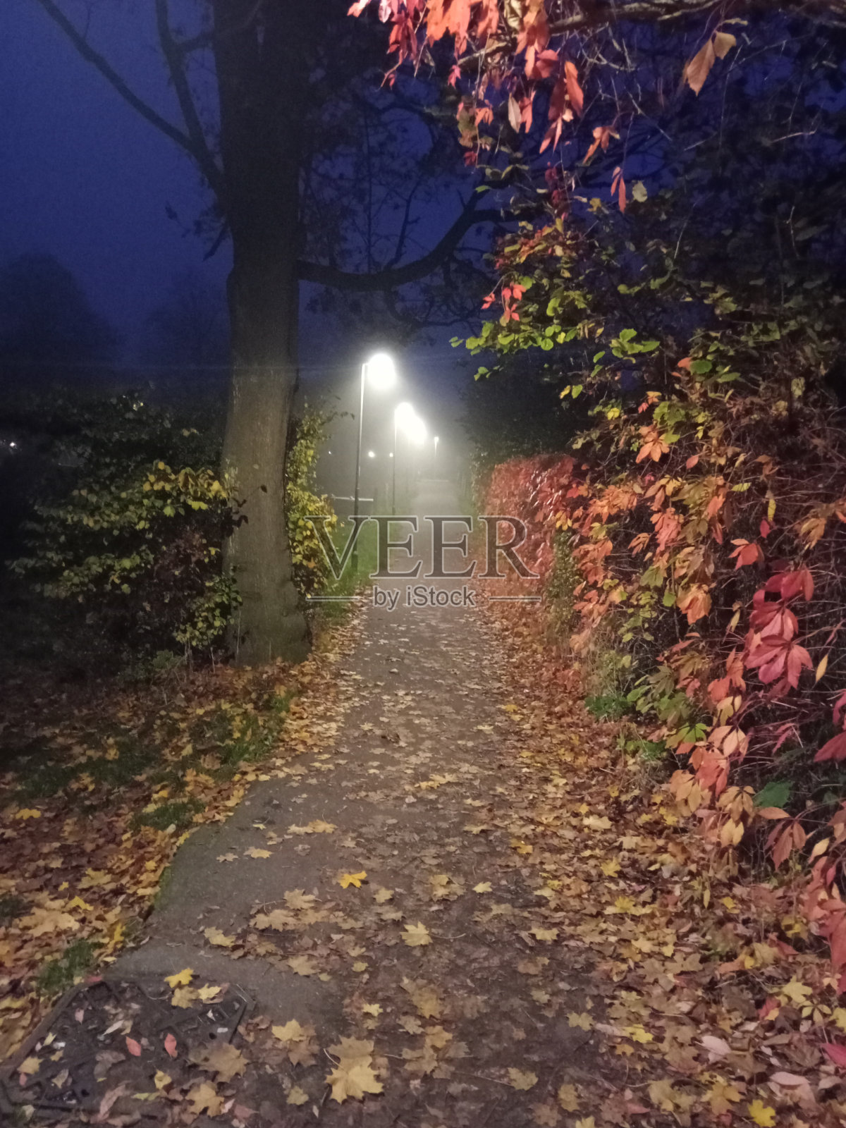 晚上巷照片摄影图片