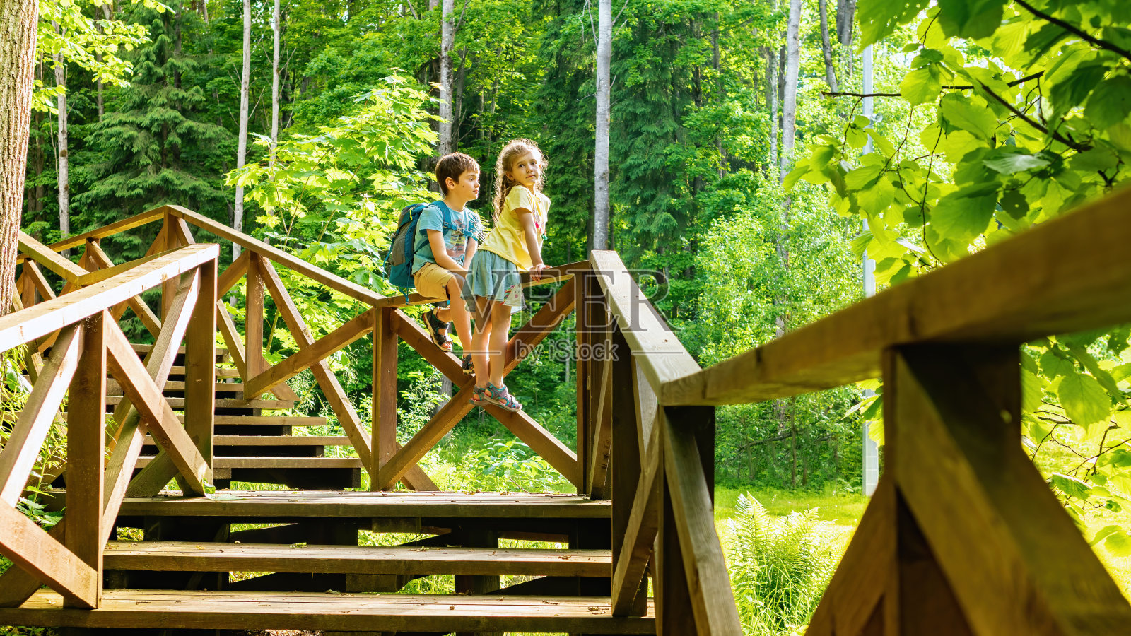 孩子们坐在配备旅游线路的栏杆上观察保护区的野生动物。Family travel vacation concept. 孩子们去家庭露营。旅游宣传册的大气照片照片摄影图片