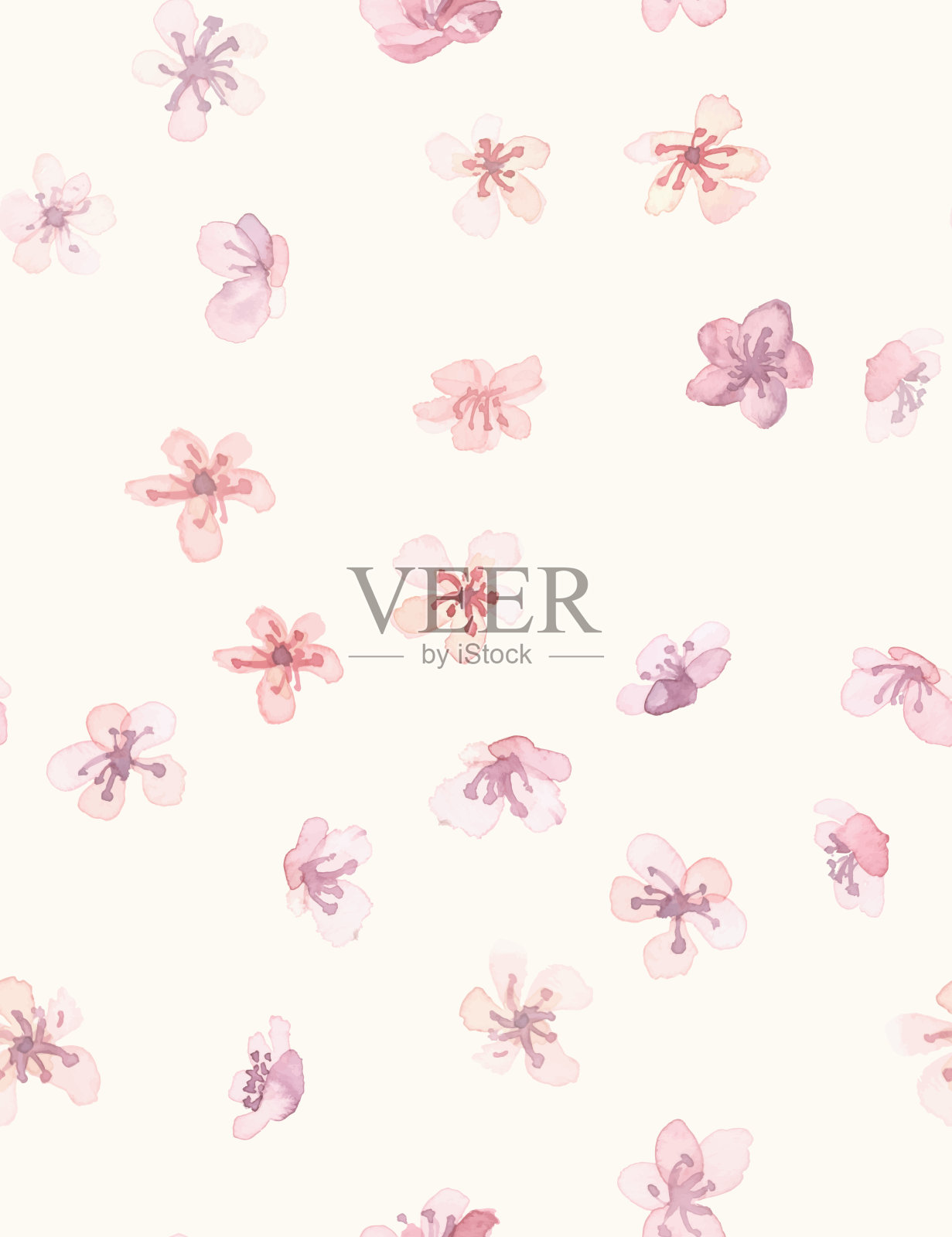 日本的软樱。向量樱桃树。现代插画图片素材