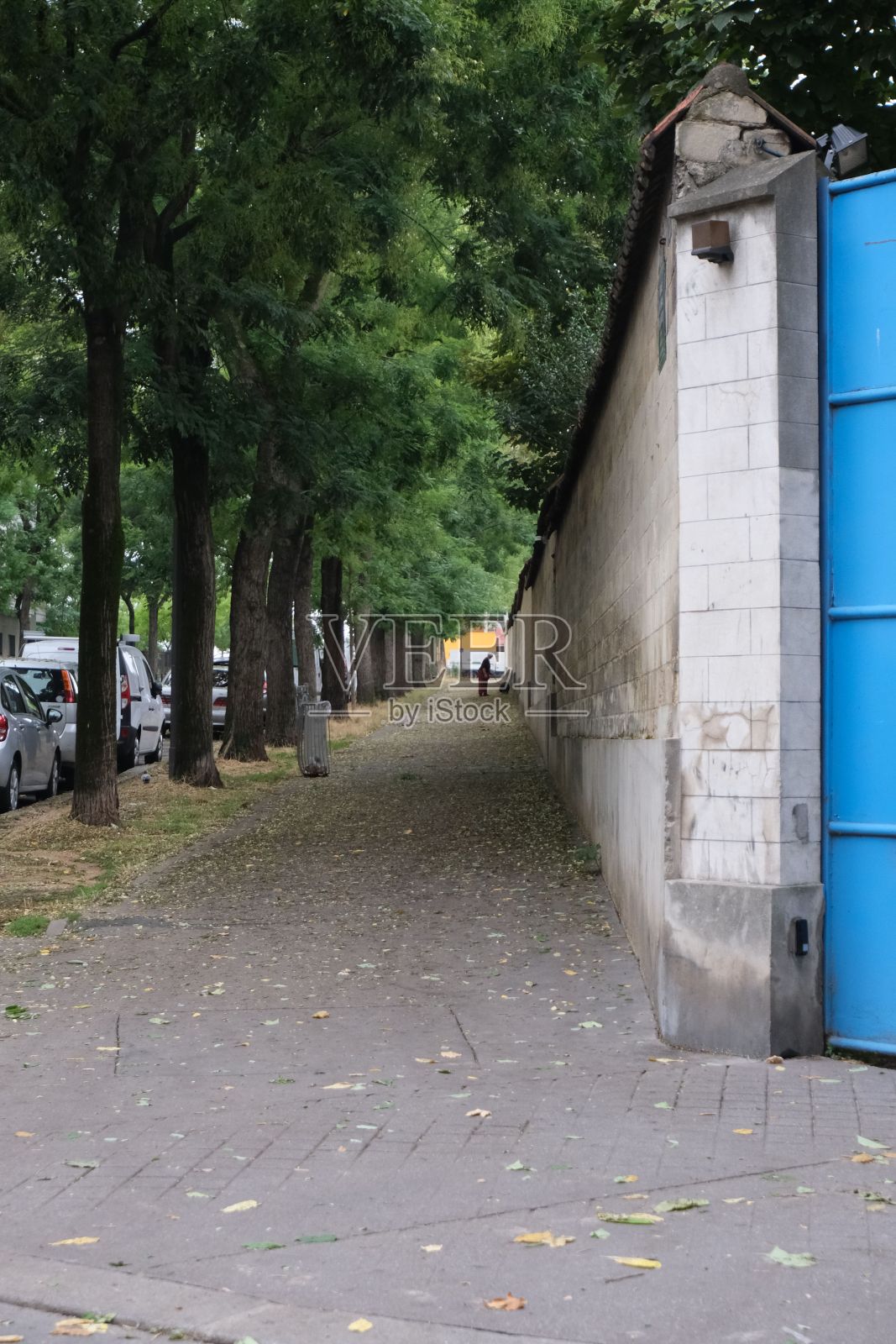 垂直拍摄法国巴黎的绿色树木和人行道照片摄影图片