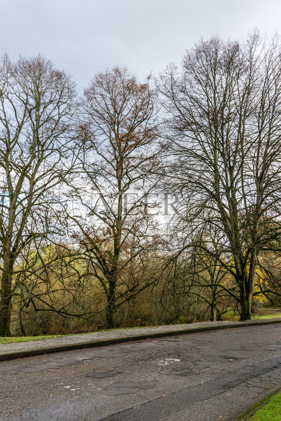 秋季植物园路6号照片摄影图片