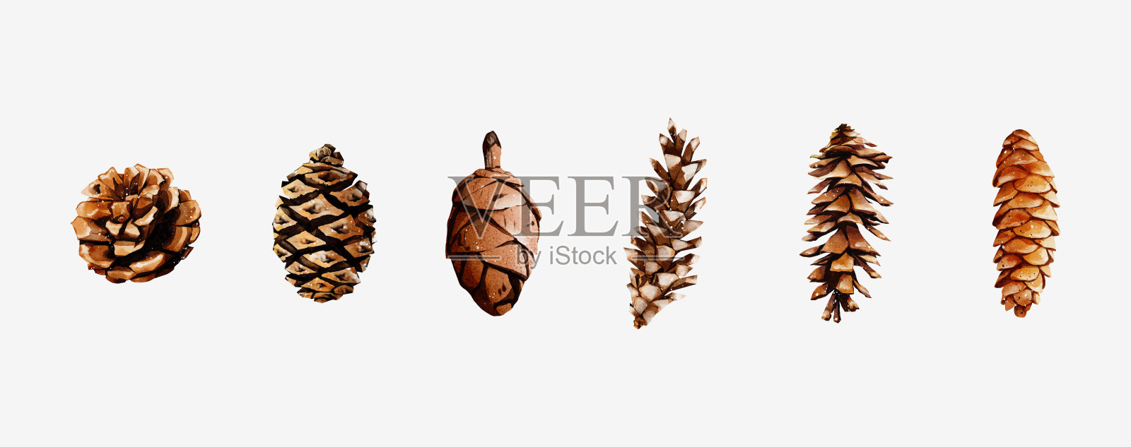 松果水彩画集矢量元素设计插画图片素材