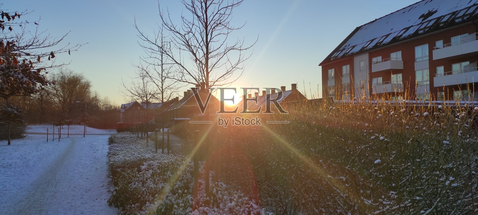 公园里的日落照片摄影图片