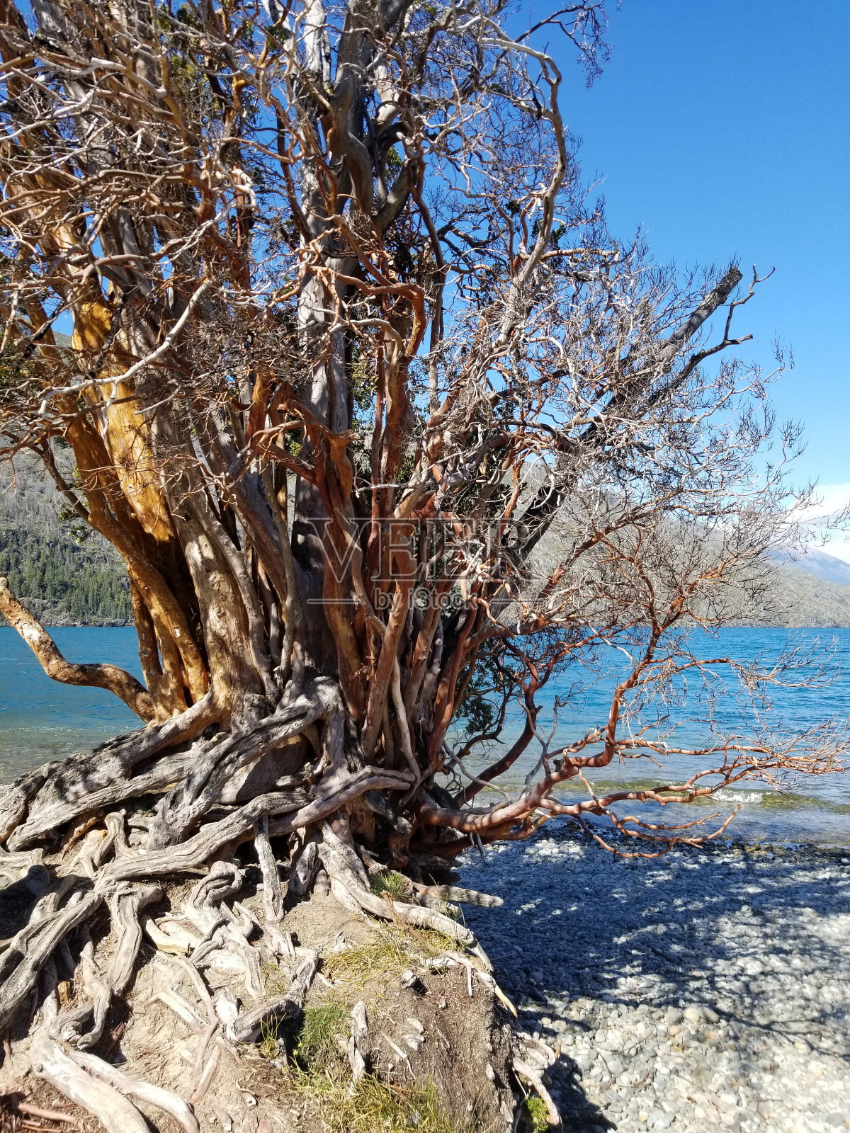 巴里洛切的山脉和湖泊景观照片摄影图片