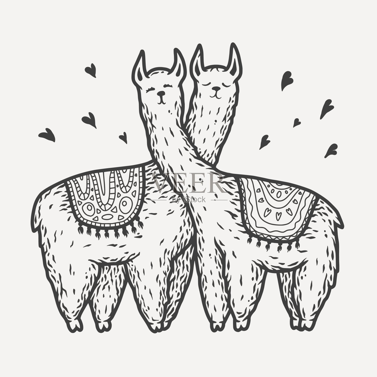 一对可爱的喇嘛羊驼相爱的心插画图片素材