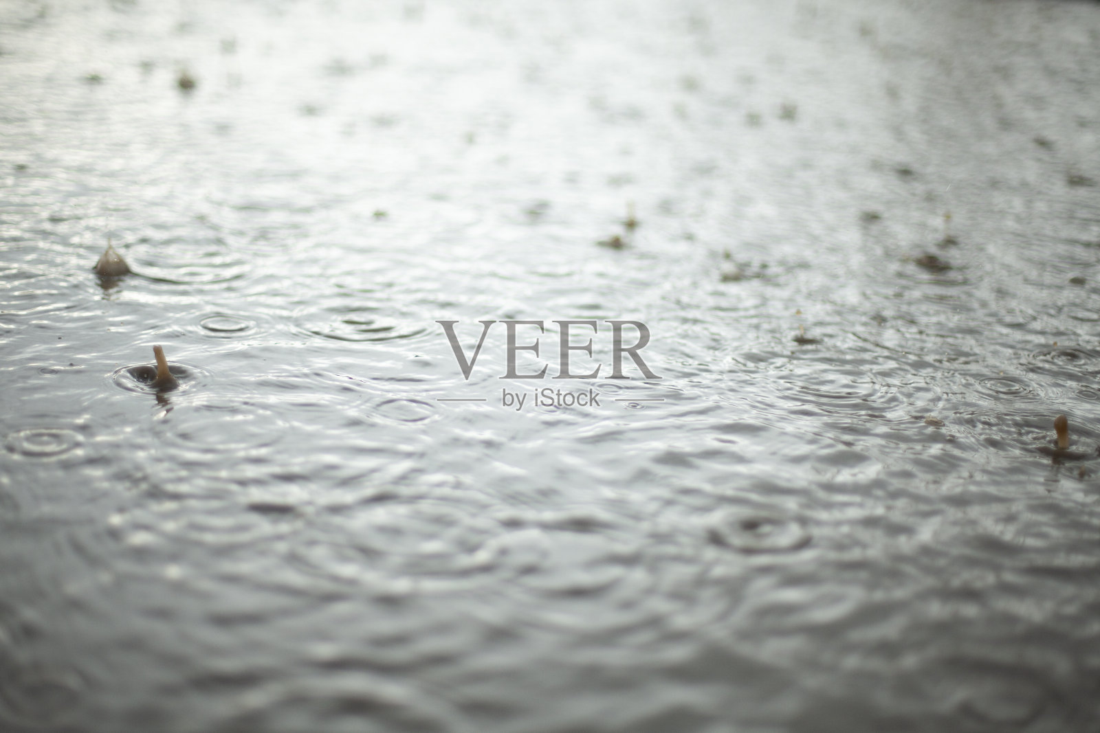 雨水和水坑。外面下雨。水的质地。液体表面。照片摄影图片