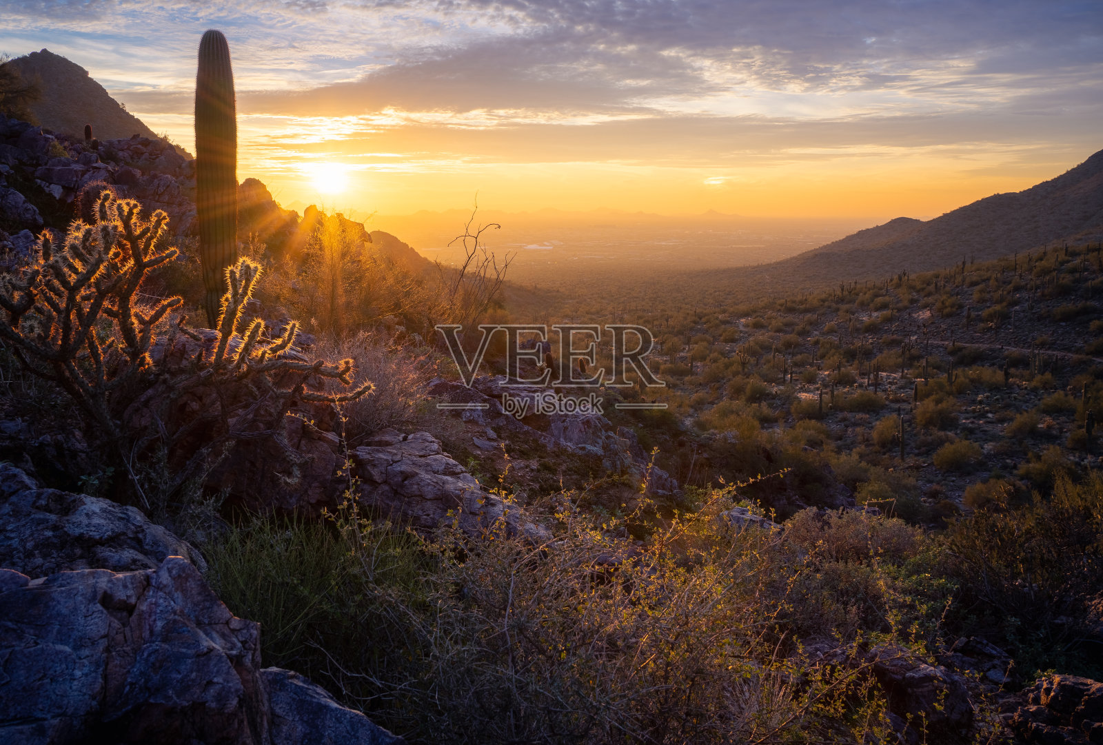 日落照亮了麦克道尔山脉中雄伟的索诺兰沙漠山谷照片摄影图片