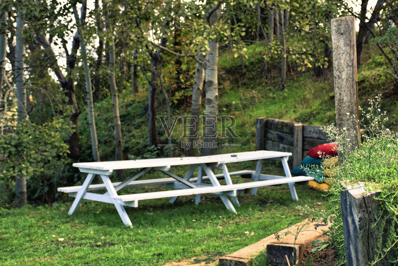 森林里有一张白色的木凳,上面有桌子和彩色的靠垫。专注于树桩。照片摄影图片