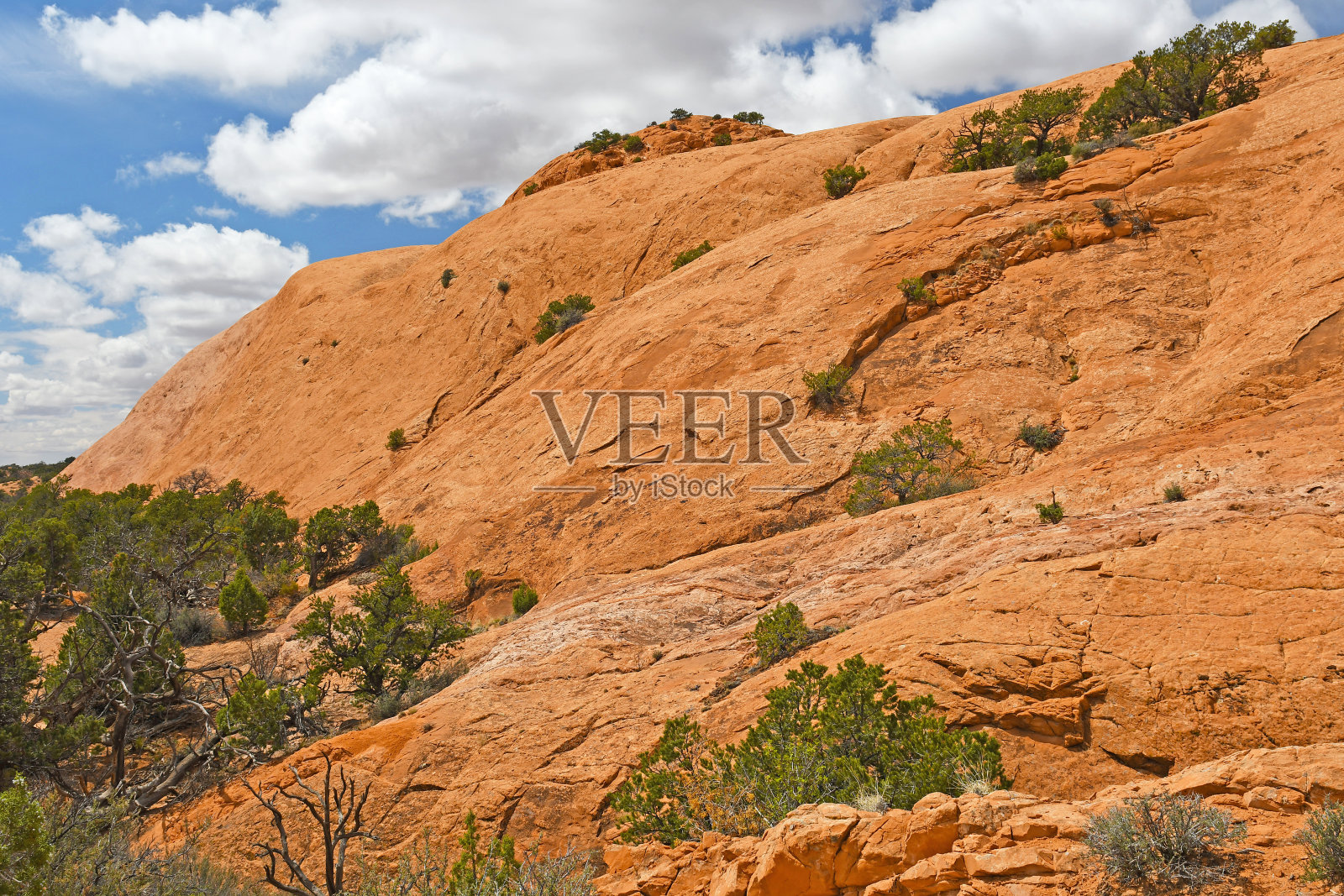 沙漠中的砂岩圆顶照片摄影图片